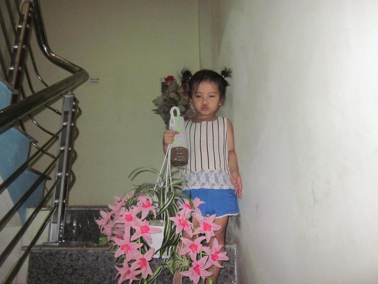 Thien Phu Hostel Phong Nha Exterior foto